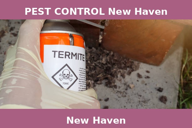 PEST CONTROL New Haven